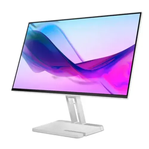 LENOVO L24i-4A 23.8-inch FHD IPS Monitor with 100Hz Refresh Rate, HDMI & VGA