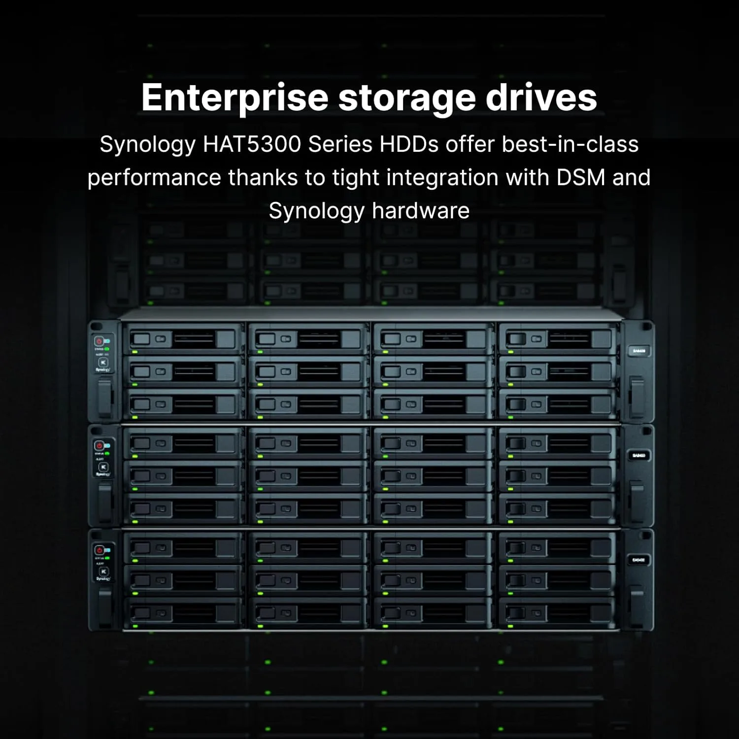 Synology HAT5300 16TB Enterprise 3.5" SATA HDD - Image 2